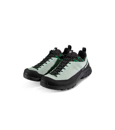 Обувки Mammut Alnasca IV Low GTX Men