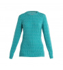 Блуза Icebreaker W's 260 Vertex LS Thermal Top Herenga Winter 2024