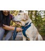 Нагръдник Ruffwear Front Range Harness